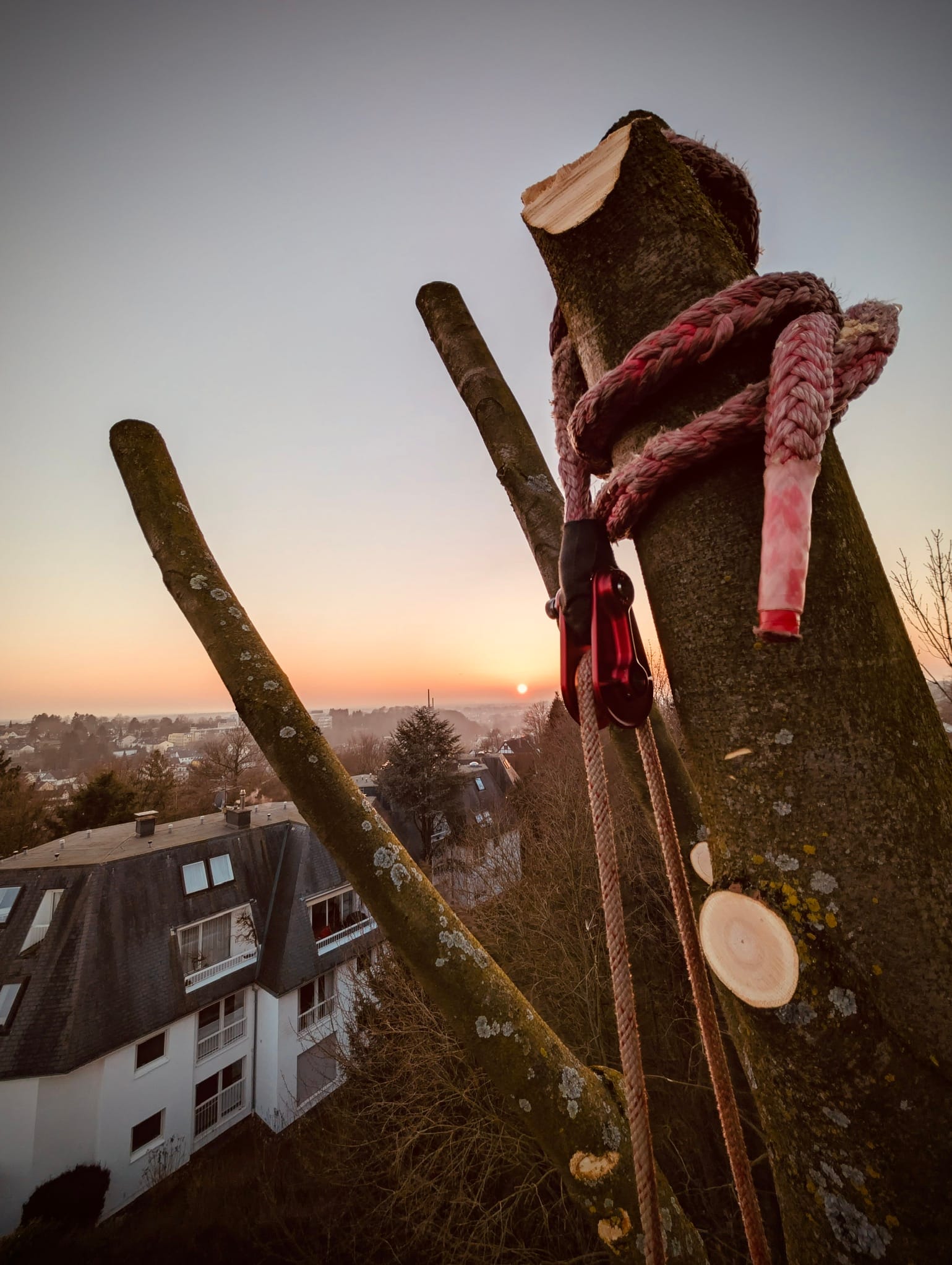 Seilrigging am Stammstück bei Sonnenuntergang