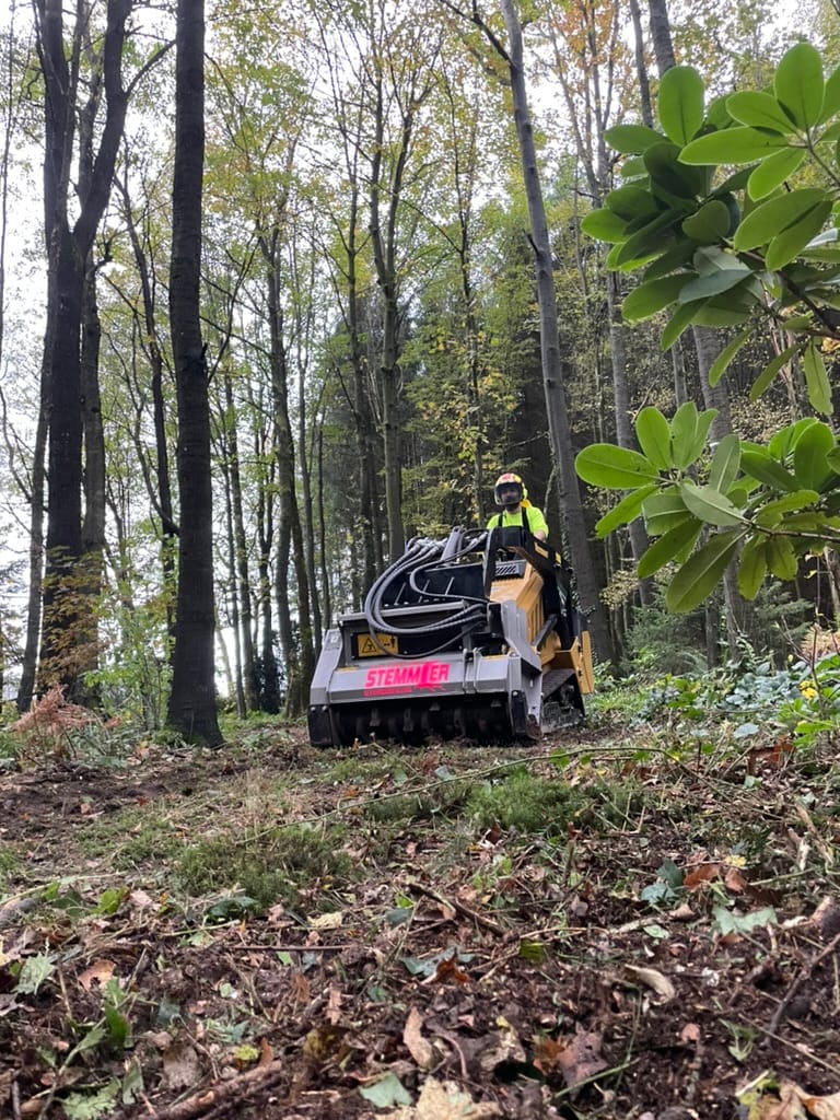 Stemmler-Forstmulcher in herbstlichem Waldstück